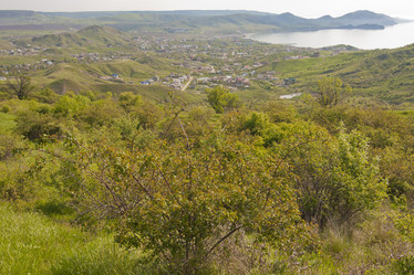 Similar image 1416620