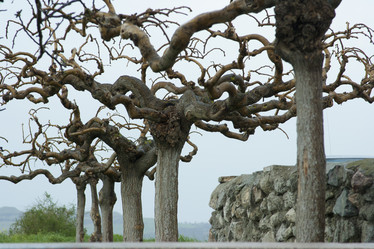 Similar image 1416624