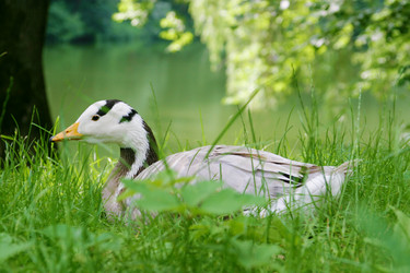 Similar image 1416625