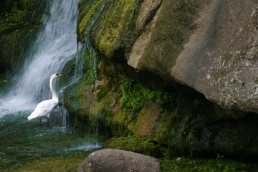 Similar image 1416626