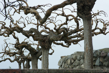 Similar image 1416630