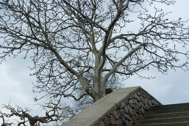 Similar image 1416632