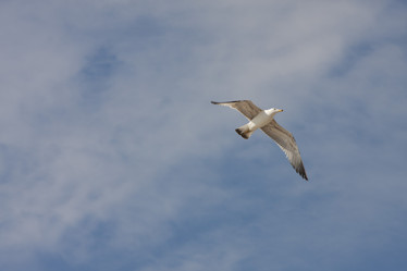 Similar image 1416637