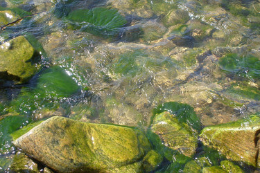 Similar image 1416646