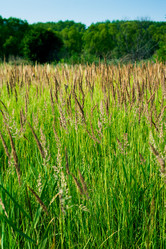 Similar image 1416689