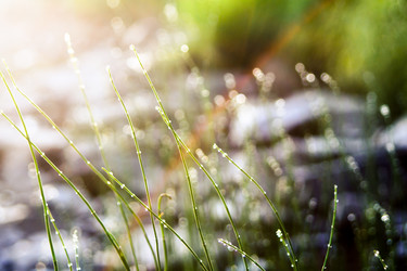 Similar image 1416690