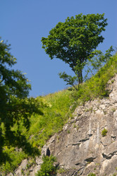 Similar image 1416701