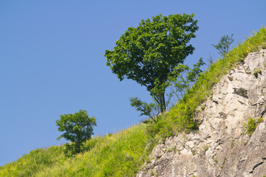 Similar image 1416702