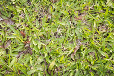 Similar image 1416730