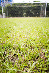 Similar image 1416736