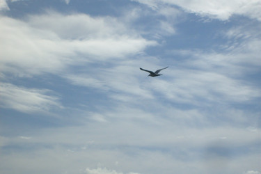 Similar image 1416749