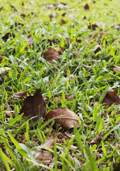 Similar image 1416762