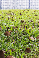 Similar image 1416771