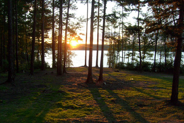 Similar image 1416871