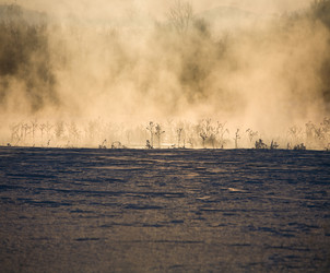 Similar image 1416874