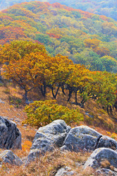 Similar image 1416891