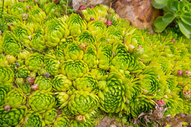 Similar image 1416894