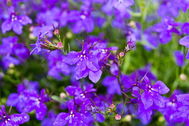 Similar image 1416896