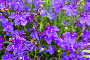 Similar image 1416897