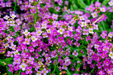 Similar image 1416898