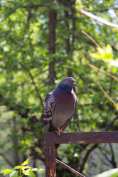 Similar image 1416919