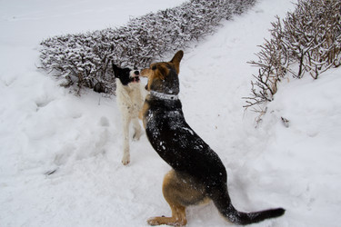 Similar image 1416931