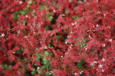 Similar image 1416935