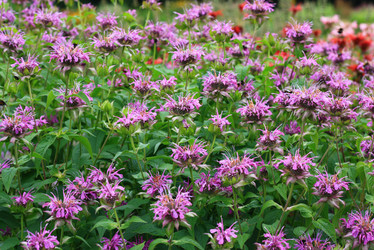 Similar image 1416936