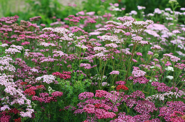 Similar image 1416938