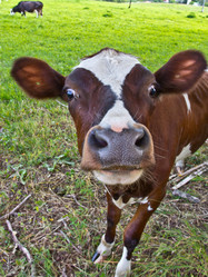 Similar image 1416942