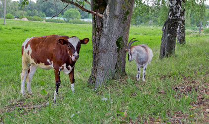 Similar image 1416943