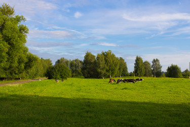 Similar image 1416948