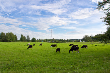 Similar image 1416950