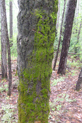 Similar image 1416951