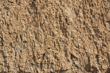 Similar image 1416963