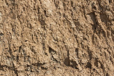 Similar image 1416964