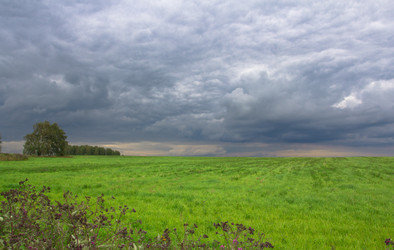 Similar image 1416966