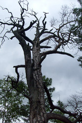 Similar image 1416973