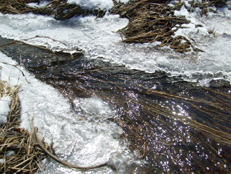 Similar image 1417030