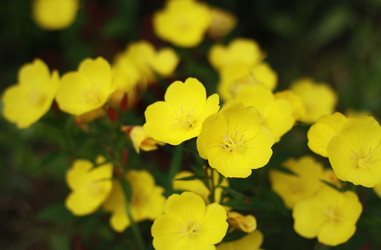 Similar image 1417148