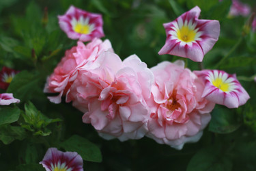 Similar image 1417149