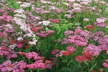 Similar image 1417188