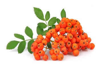 Similar image 1417375