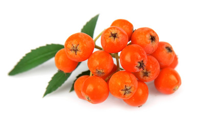 Similar image 1417388