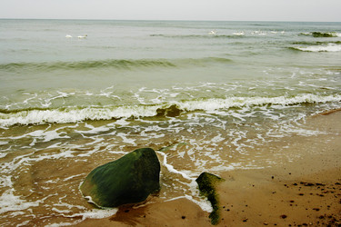 Similar image 1417514