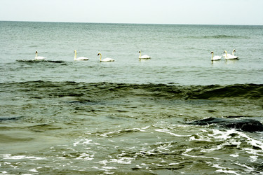 Similar image 1417532