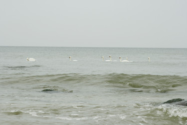 Similar image 1417534