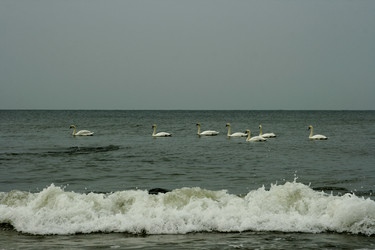 Similar image 1417539