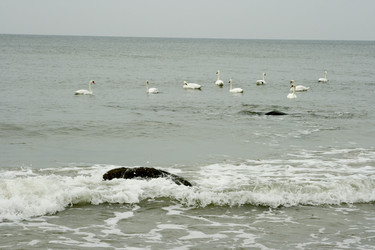 Similar image 1417543