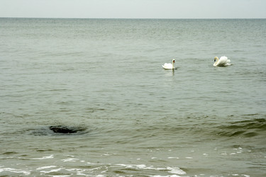 Similar image 1417546